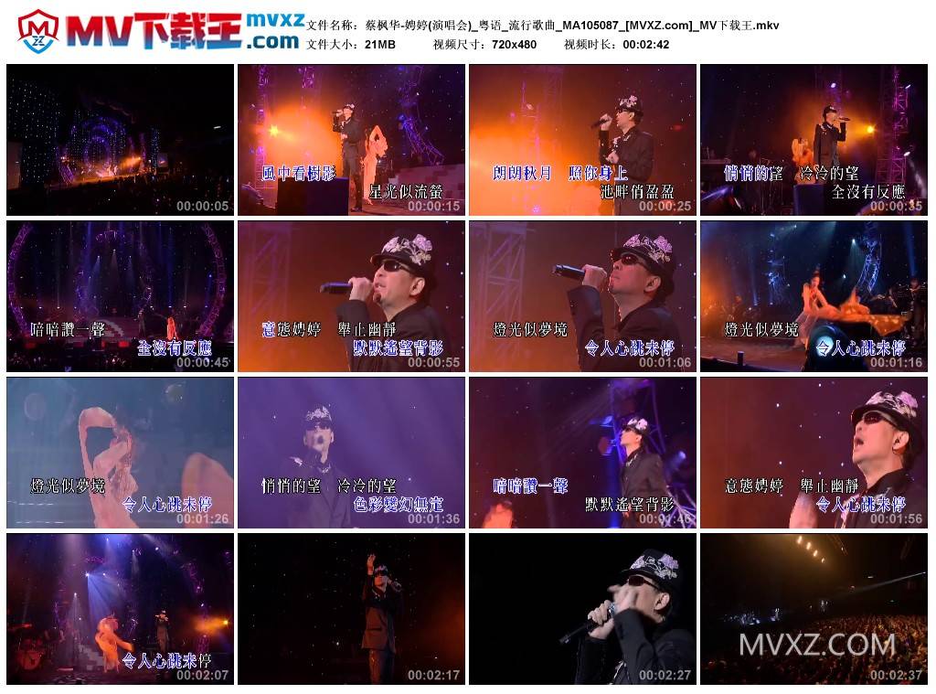 蔡枫华-娉婷(演唱会)_粤语_流行歌曲_MA105087